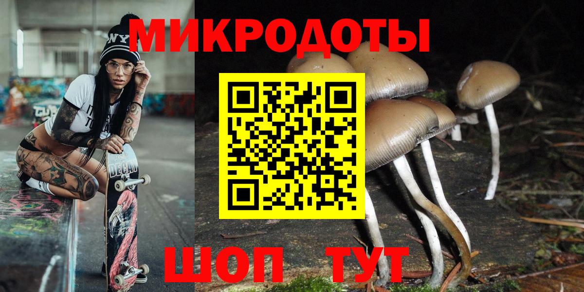 Галлюциногенные грибы мицелий  Вход с VPN  Железногорск  Галлюциногенные грибы Psilocybe 